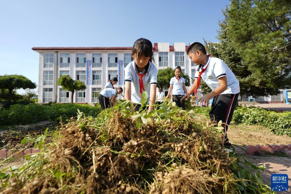 老虎转转转官网